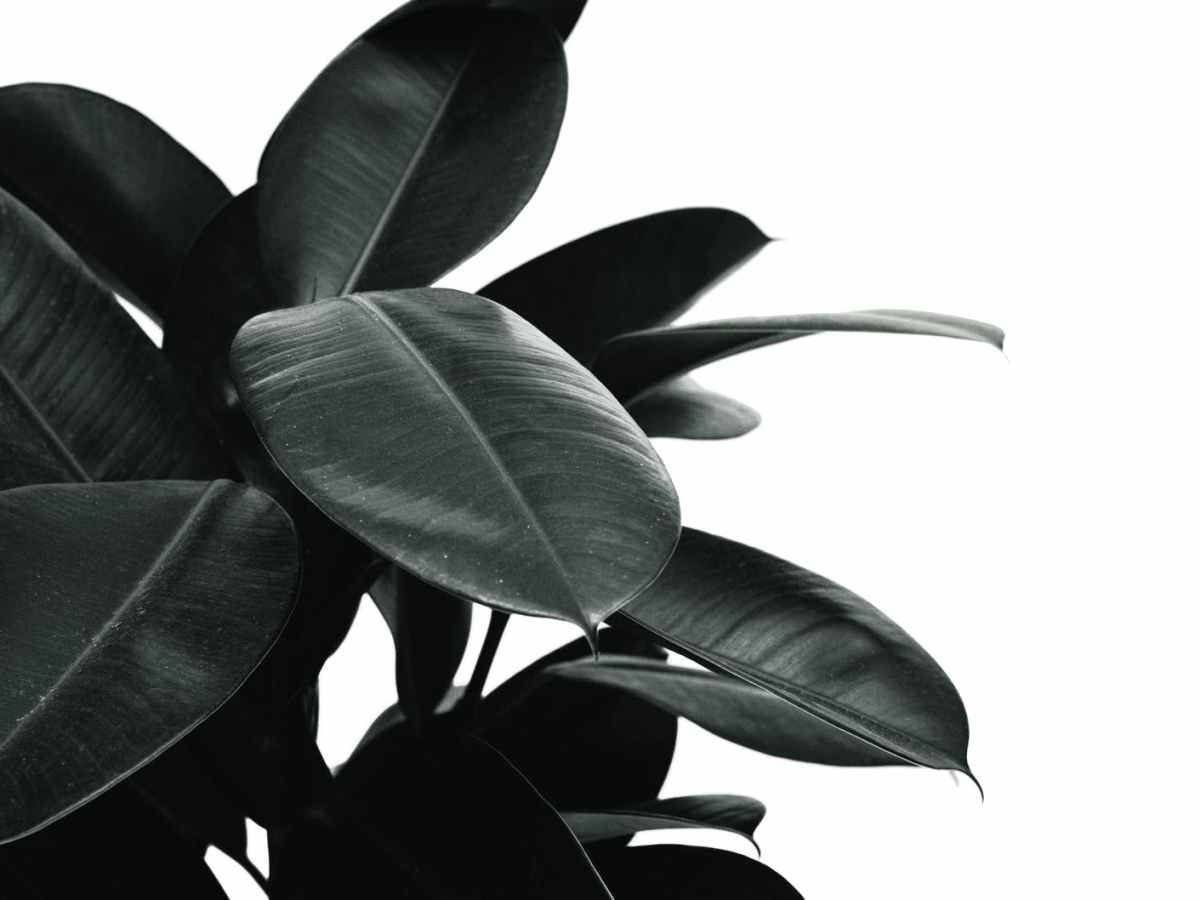 Grief Is A&nbsp;Bitch